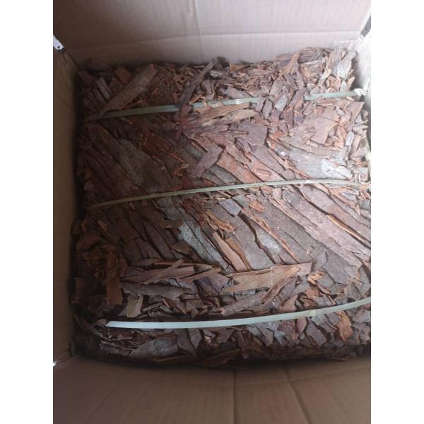 Высушенные специи отжали циннамон кассии весь отжатый