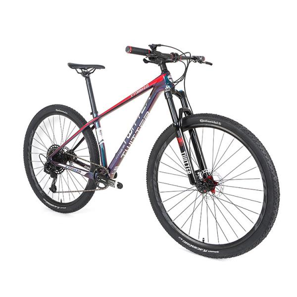 Цвет горного велосипеда 29er углерода голографический с Sram SX 12S Groupset для взрослого