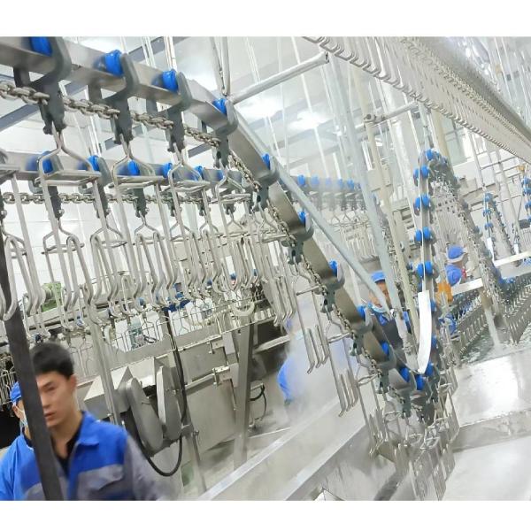 Electrical Heating Automatic Chicken Scalding Machine For Slaughtering Line
