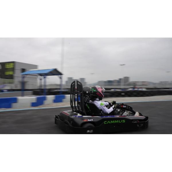 Мотор вращающего момента 7.2Nm парка атракционов высокий электрический идет Kart 750w 28km/H