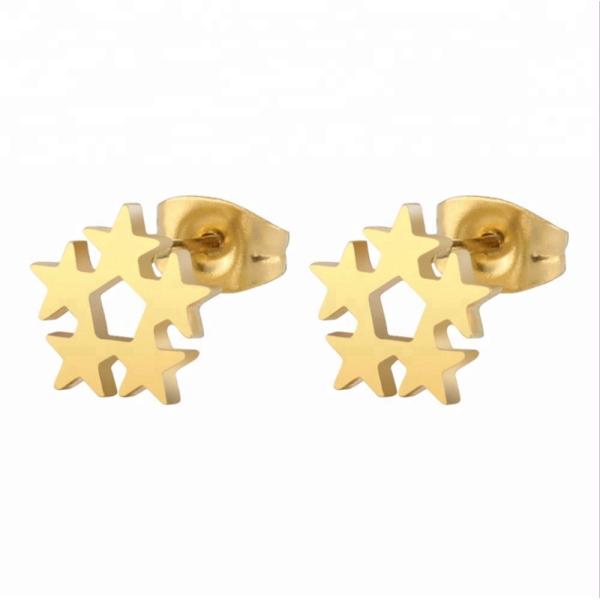 Customized Earring Surgical Stainless Steel Titanium Silver Gold Black Plated Star Stud Earrings