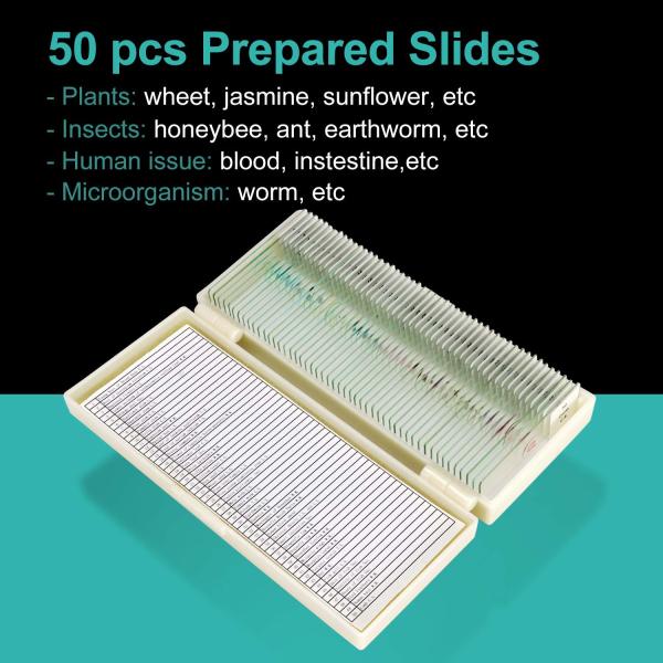 50pcs/Box Fixed Set High School OEM Biological Slides For Teaching