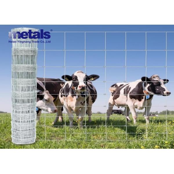 Heavy-Duty Galvanized & PVC Coated Steel Welded Wire Mesh Fence for Industrial and Security Perimeter Protection