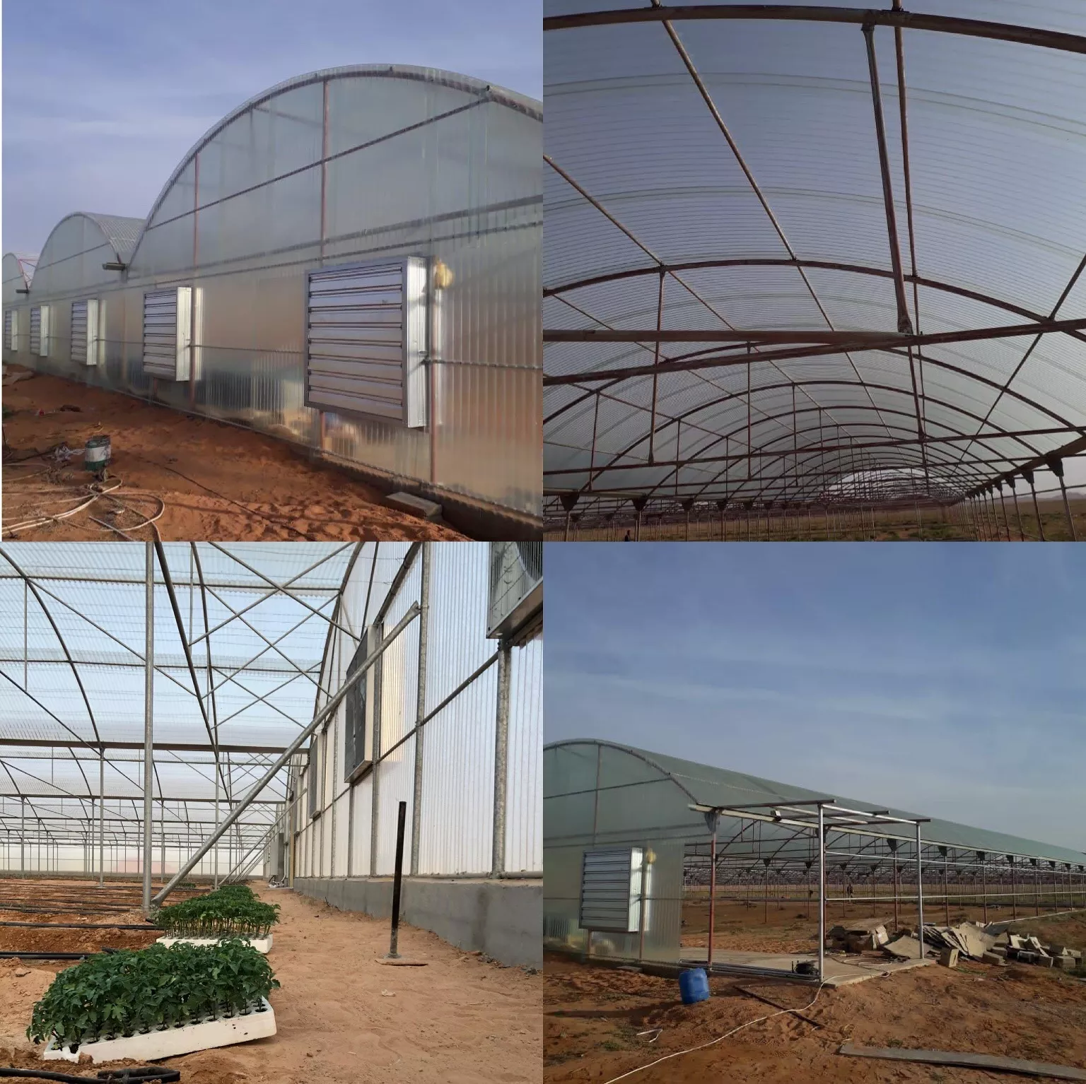 transparent fiberglass transparent roofing sheet for greenhouse