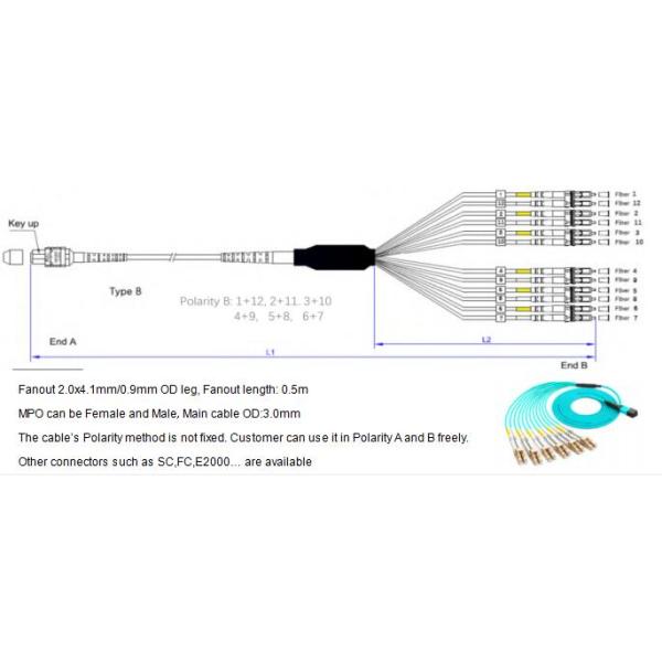 12 Fibers MPO-LC Fiber Optic Cable OM4 2.0mm Straight Harness for High-Density Data Centers