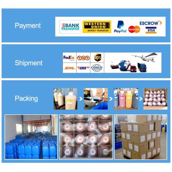 Amical pour l'environnement Tinture DTF numérique pour T-shirt Blanc ou froid Impression 100 ml