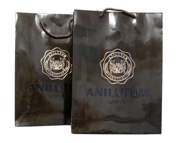Shining Coated Twenty 210g Artpaper / Paper Carry Bag For Shopping Packaging