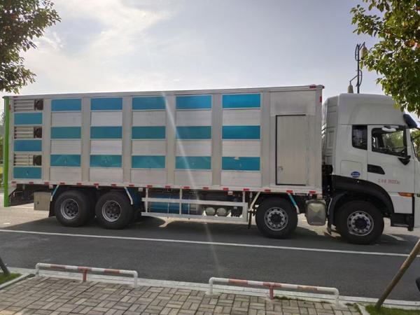 Export Customization 8x4 35 TONS Live Poultry Transportation Truck Piglets Transport Truck With Aluminum Alloy Compartment Box
