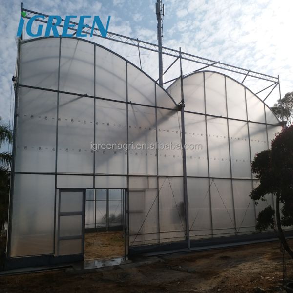 IGreen Saw Tooth Roof Vent Multi Span Plastic Greenhouse for Agriculture