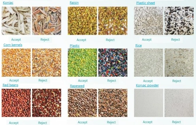 2023 Новый дизайн CCD Nuts Color Sorter Машина для разделения цвета грецкого ореха кешью кокосового ореха