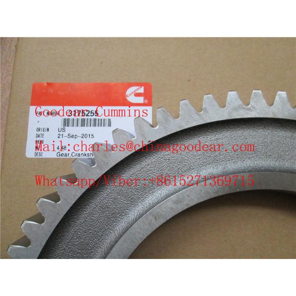Chongqing  k38/k50 diesel engine crankshaft gear 3175255