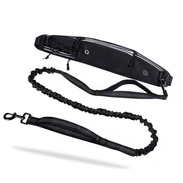 Comfortable Smart Dog Leash Pet Supplies Set Including Adjustable Dog Collar 100% Nylon Letter Pattern Reflective Premium Pet