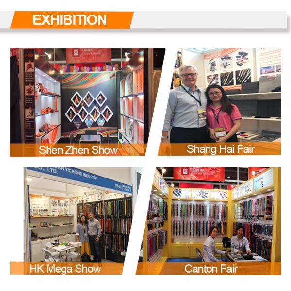 Изготовленное на заказ роскошное руководство проводки собаки логотипа установило зеленый Retractable поводок собаки