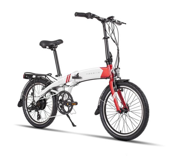 Foilding electric assist bike 20 Alu 6061 Rear Drive Motor,36V250W  36V7.8AH 25KM/H