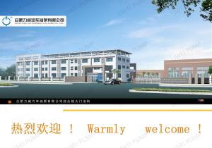 Hefei Liwei Automobile Oil Pump Co., Ltd