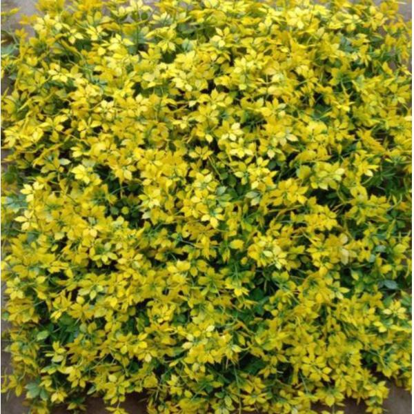 L'herbe artificielle est une décoration incontournable pour les hôtels, restaurants, centres commerciaux et expositions.