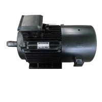 Do motor trifásico do ímã permanente de IP54 IP55 IP68 torque alto de baixo nível de ruído
