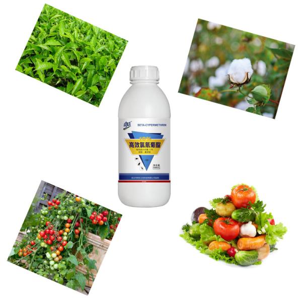 Agrochemical 10% Beta SC Cypermethrin Insecticide Products Spray For Vegetables