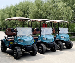 AC Electric Golf Cart with Discounted Bag Push Cart and 10 inch Aluminum Alloy Wheels