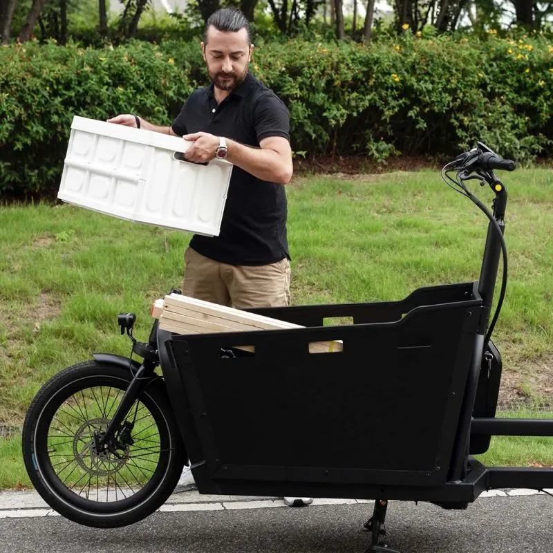 2 Wheel Cargo E Bike Family-Friendly Cargo Bicycle with Electric Assist