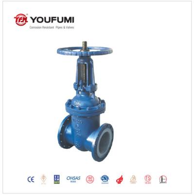 GOST Standard PTFE Lined Gate Valve Flange Type Casting Material For Food