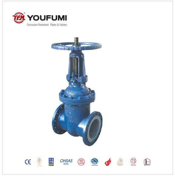 ANSI Double Disc Gate Valve
