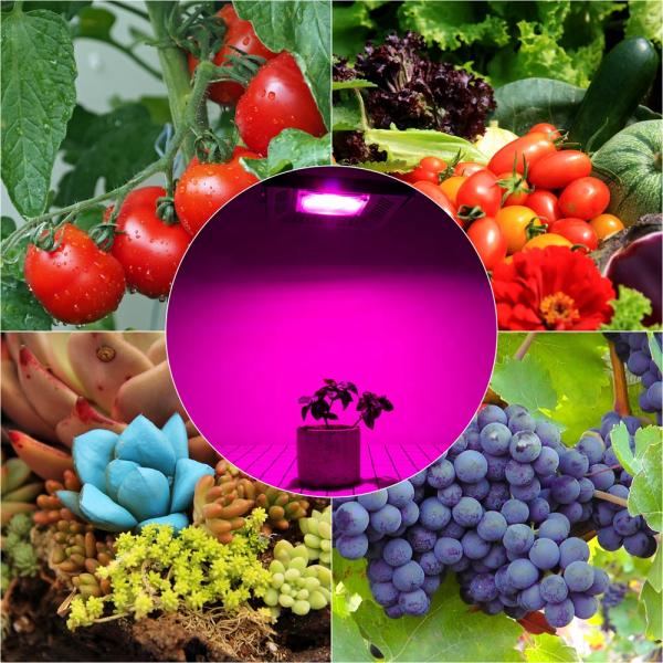 Outdoor IP65 Waterproof Led Plants Grow Cob Lights , 410nm Led Growth Floodlight
