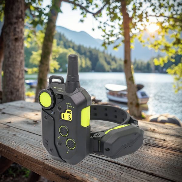 High End Fashion Large Dog Training E-Collar Set 4000FT 1200M Remote Waterproof IPX7 Rechargeable Eco-Friendly Nylon Shock