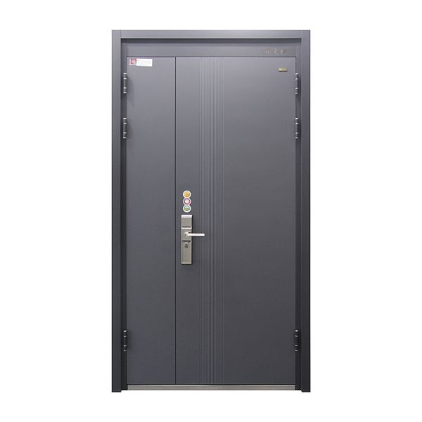Manual Operation Steel Minimalist Main Door With Wrought Iron Decor