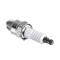 Le moteur de la moto BP6HS L87YC W175Z1