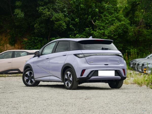 2025 BYD Dolphin, EV range increased to 520KM, configuration upgraded, price unchanged