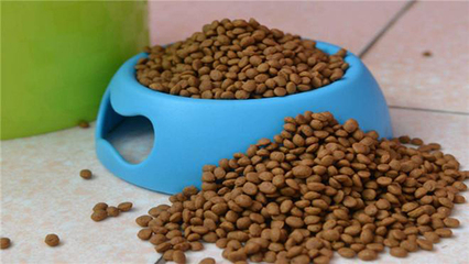 Nutritional Cat Food Flavour Enhancer Light Brown Powder ISO Certified