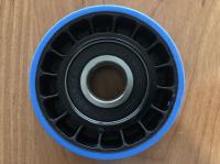Rolo da corrente da etapa; 76x25, pino 20 com carregamento de 6204