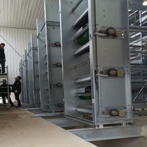 Анти- старея ширина пояса оборудования 1m-1.8m удаления сора птицы HDG