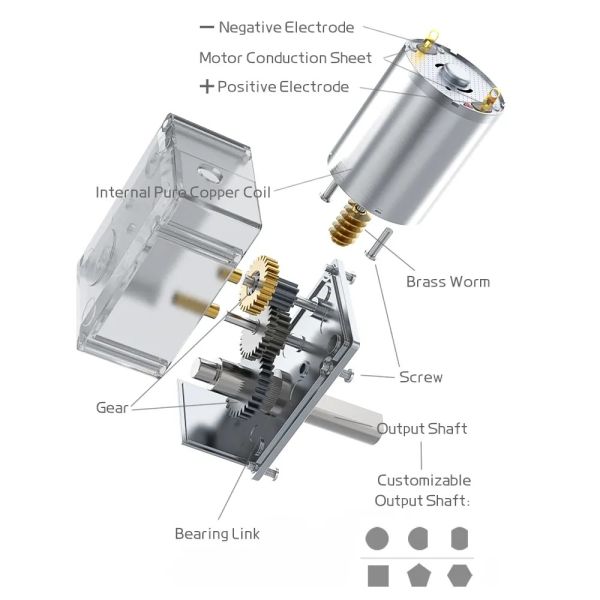 FT-46SGM370 Worm Gear Motors with Hall Encoder for Boundless Lawn Mowing Robots