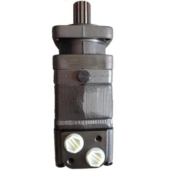 Danfoss Hydraulic Pump OMS315151F0548 High Efficiency Performance Low Noise Energy Savin