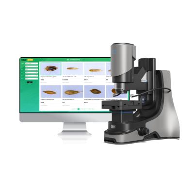 Al Quarantine Weed Seed Identification System