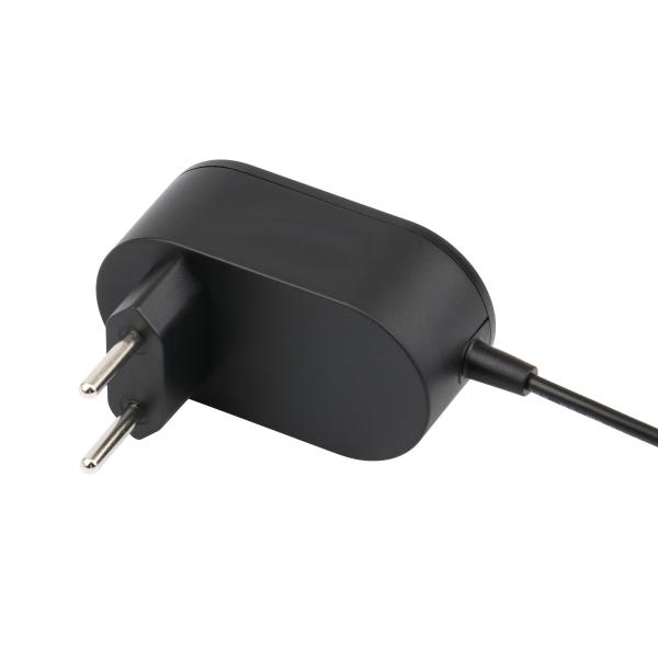 19Vdc 600mA Switching Mode Power Adapter