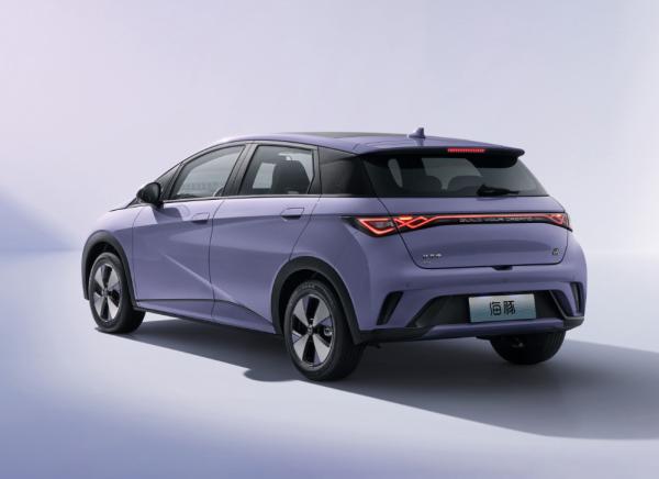 Automobile Factory 2WD BYD EV Car Whale Pure New Energy Electric Vehicle