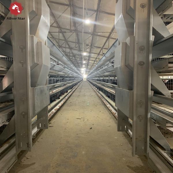 Fully Automatic Egg Layer Chicken Cages H Type 50000 Chickens Poultry Farm 10 Tiers