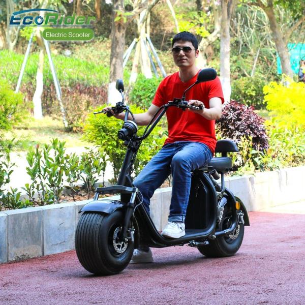 EcoRider Fat Tire 2 Wheel Electric Bicycle , On Off Road Eletric Scooter With Remote