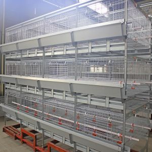 Тип клетка h цыпленка мяса 500cm2, оборудование птицы бройлера ярусов ISO9001 3/4