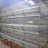 Type cage de poulet de viande de 500cm2, équipement de H de volaille de grilleur des rangées ISO9001 3/4