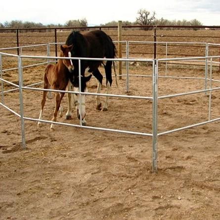 Pvc Coated Strong Steel Pipe 60mm Cattle Corral Panels