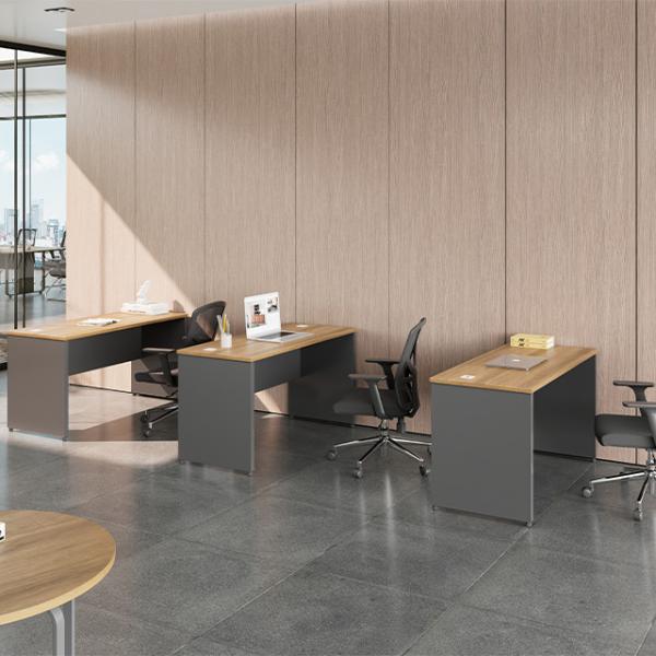 Modern Single-Person Wood Study Desk for School or Office Use Featuring Panel