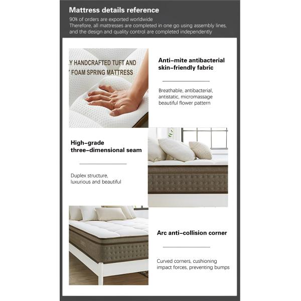Natural Latex Organic Materials Flexible Spinal Protection for Bedroom Sofa Cushion