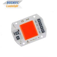 Chip LED COB de espectro completo prático 50W 100W para lâmpada de crescimento de plantas de interior