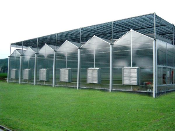 Efficiently Grow Crops Solar Agricultural Greenhouses  All Year Round