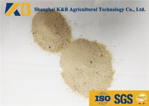 100% Pure Brown Rice Gluten Protein Powder For Animal Fish Poultry Meal