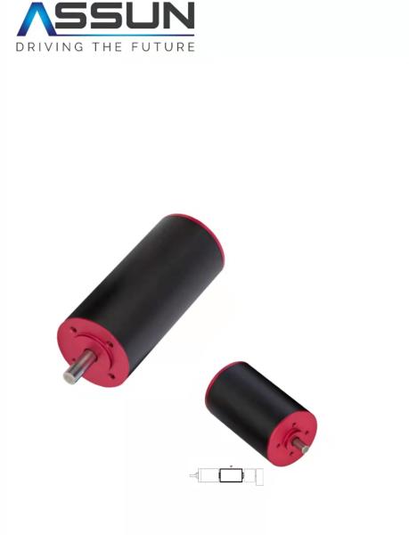 High power Brushless DC motor 36V48V24V 5500-10000rpm.diameter45mm length100mm